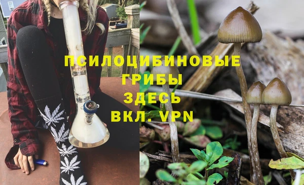 стафф Пересвет
