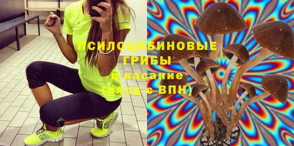дживик Покачи