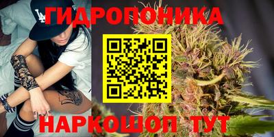 бутират Сланцы