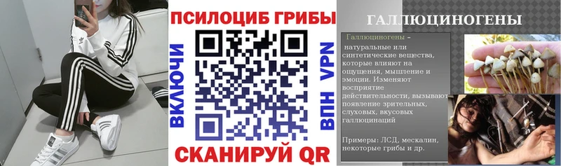 купить закладку  Ржев  Псилоцибиновые грибы MAGIC MUSHROOMS 
