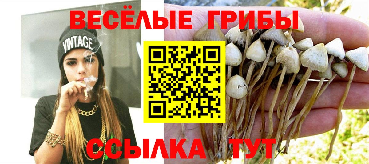 Ржев  Галлюциногенные грибы GOLDEN TEACHER  Вход с VPN 