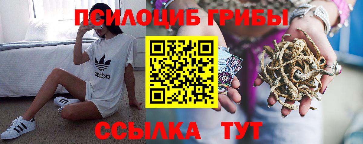 Галлюциногенные грибы ЛСД Ржев
